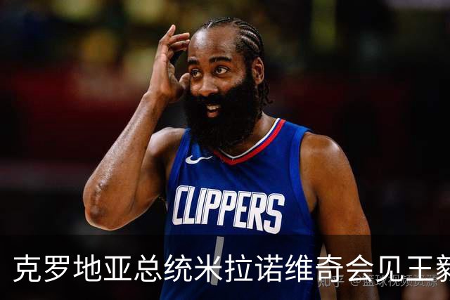 克罗地亚总统米拉诺维奇会见王毅