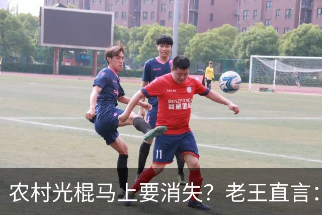 农村光棍马上要消失？老王直言：这几个原因很现实