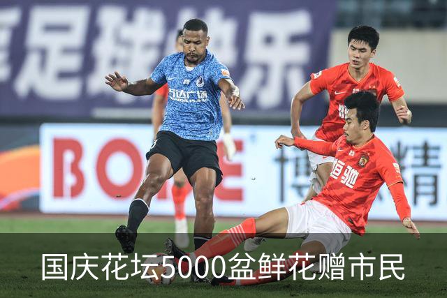 国庆花坛5000盆鲜花赠市民