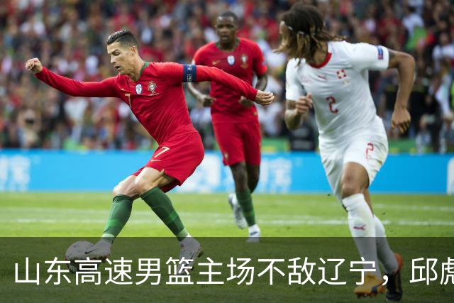 山东高速男篮主场不敌辽宁，邱彪赛后评价法耶：无可挑剔