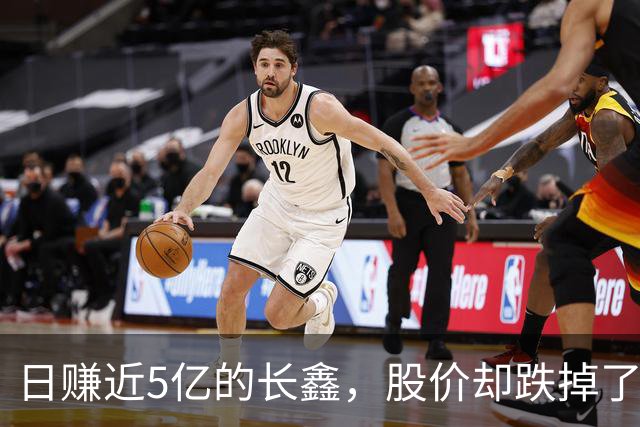 日赚近5亿的长鑫，股价却跌掉了15000亿