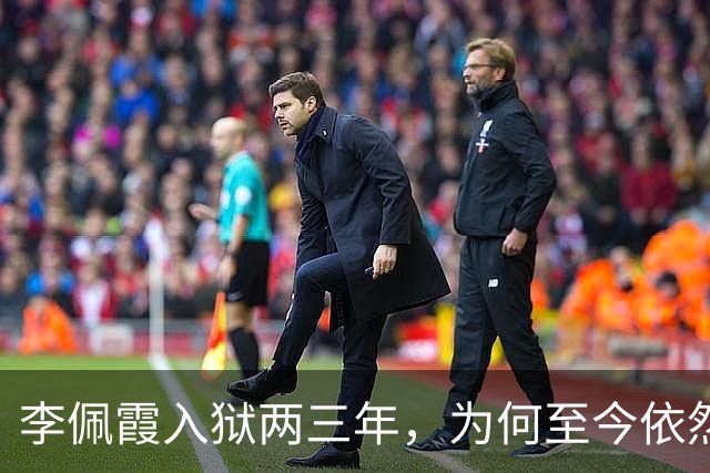 李佩霞入狱两三年，为何至今依然被炒作？