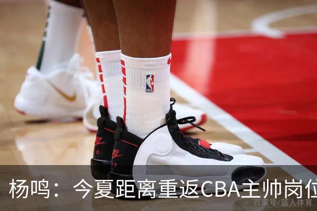 杨鸣：今夏距离重返CBA主帅岗位很近 但有一些选择和不同的看法