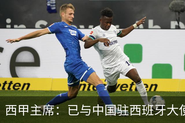 西甲主席：已与中国驻西班牙大使会面 寻求解决办法