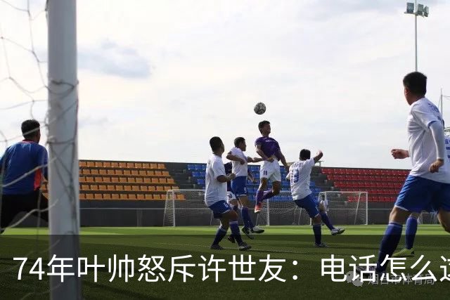 74年叶帅怒斥许世友：电话怎么这么晚才接？许世友：首长，我连滚带爬赶来接的！